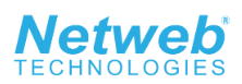 Netweb Technologies IPO